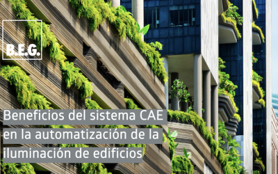 CAEs, el futuro de la descarbonización en España